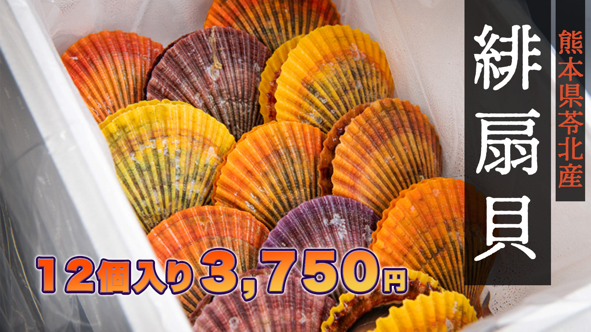 緋扇貝12個入 | 浜崎水産公式通販